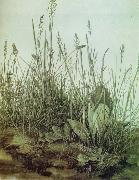 The Great Piece of Turf Albrecht Durer